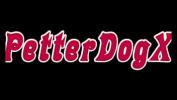 Film Bokep Petter Dog Corinthiano faz sexo period 3gp