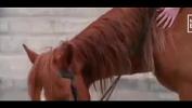 Bokep Mobile Chinese hot girl riding horse hot